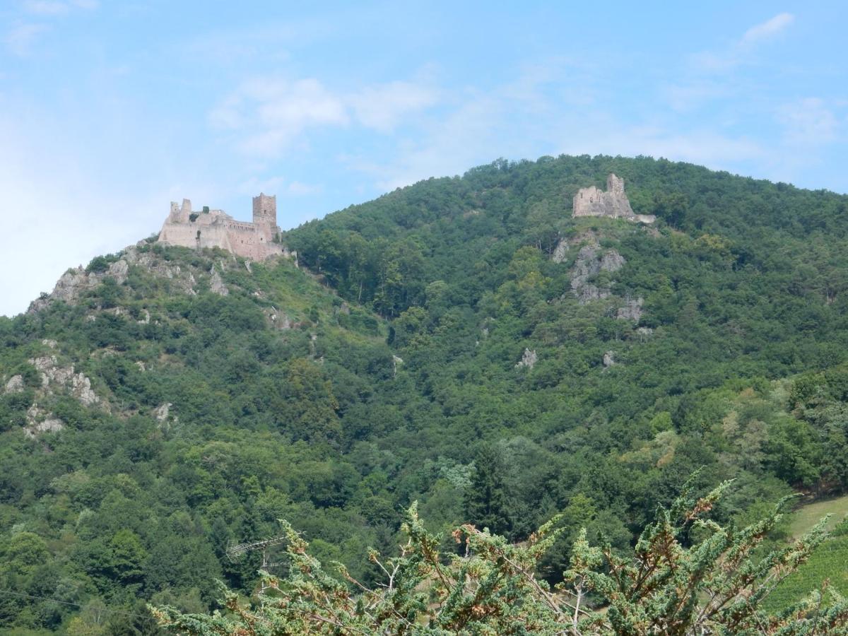 Gite Kientzler Ribeauville  Exterior photo